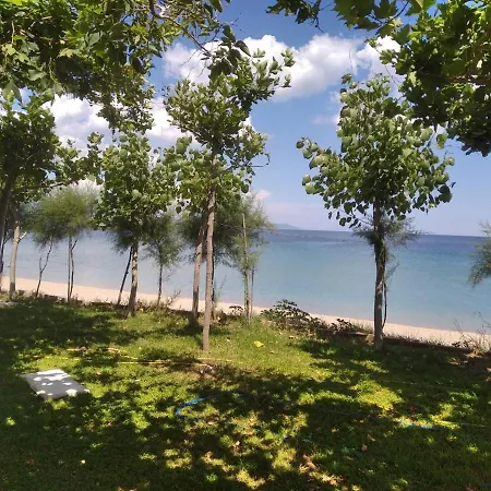 Angie's Summertime Apartment