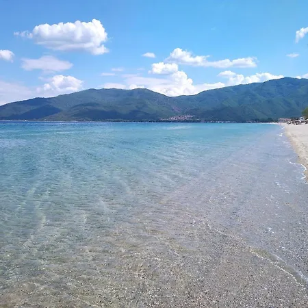 Angie's Summertime Vrasná