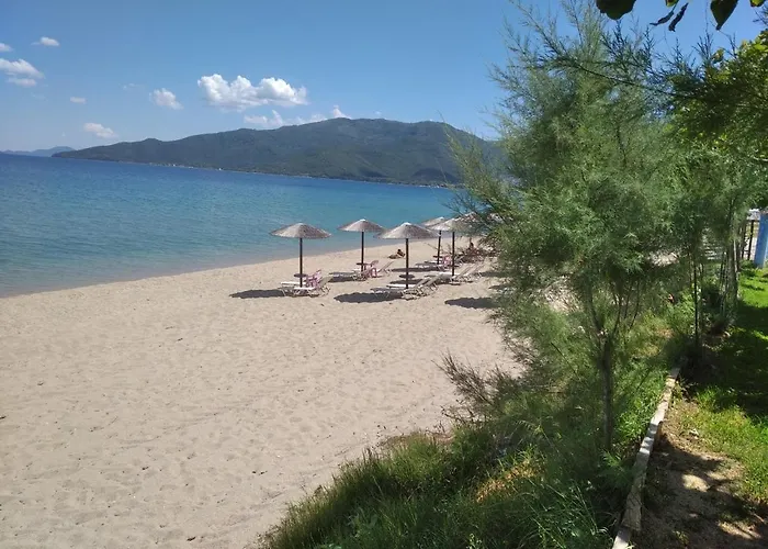 Angie's Summertime